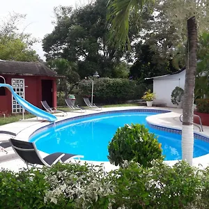 Summer Dream Boutique Hotel